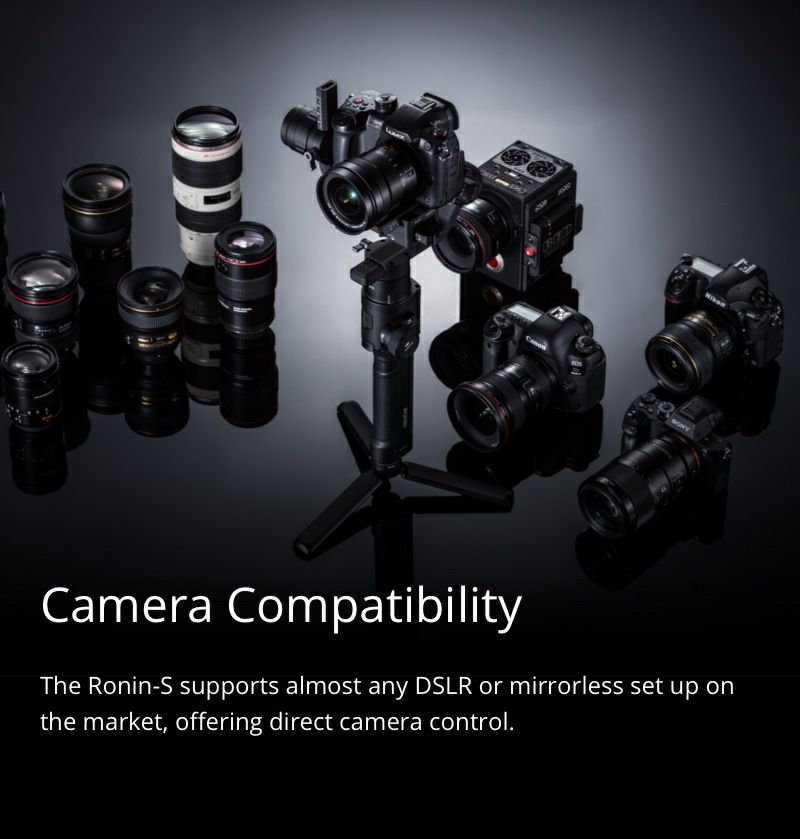 DJI Ronin-S Camera Compatibility