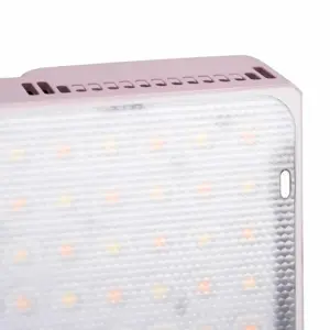amaran-ace-25c-pink-60360-6971842188239.webp