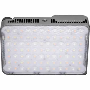 Amaran Ace 25c Silver
