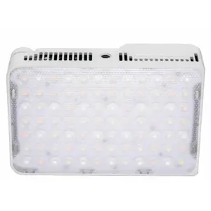 Amaran Ace 25c White