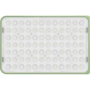 Amaran Ace 25x Green