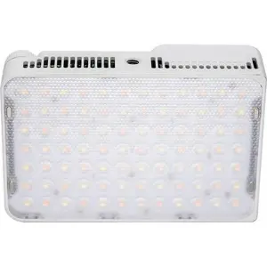 amaran-ace-25x-white-79239-6971842188123.webp