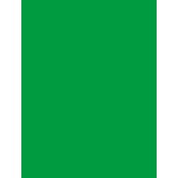 Bresser papirnata kartonska pozadina 1,35x11m zelena chromakey green Background Paper Roll 54