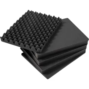 bw-outdoor-cases-type-2000-black-pre-cut-foam-zastitni-kofer-4592-4031541702968.webp