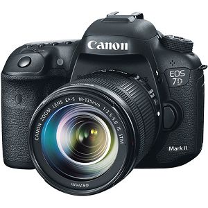 canon-eos-7d-mark-ii-dslr-camera-with-18-ca-7dii-18-135_1.jpg