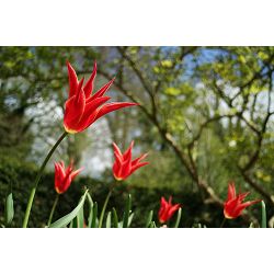 canon-eos-m3-black-premium-kit-sandisk-e-03013008_8.jpg