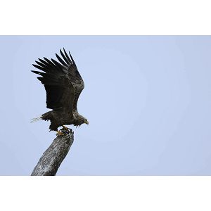 canon-eos-r7-rf-100-400mm-f56-8-is-usm-97535-8714574672441-komplet1_111880.jpg