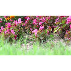 canon-powershot-g5x-wifi-digitalni-fotoa-0013803266986_16.jpg