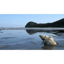 canon-powershot-g5x-wifi-digitalni-fotoa-0013803266986_17.jpg