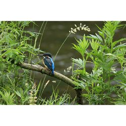 canon-rf-100-400mm-f-56-8-is-usm-telefot-5050c005aa_9.jpg
