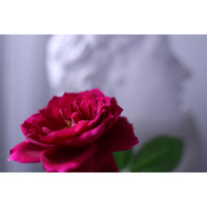 canon-rf-16-28mm-f28-is-stm-49281-4549292241716.jpg