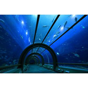canon-rf-s-10-18mm-f45-63-is-stm-9047-4549292222012_112752.jpg