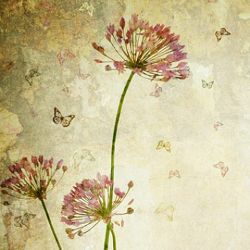 Click Props Background Vinyl with Print Flower Distressed 1,52x1,52m studijska foto pozadina s grafikom