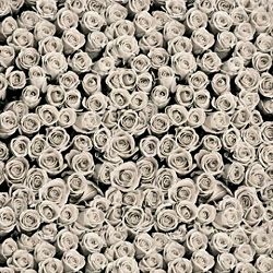 Click Props Background Vinyl with Print Roses White 1,52x1,52m studijska foto pozadina s grafikom