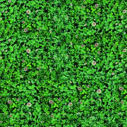 Click Props Background Vinyl with Print Flower Floor 1,52x1,52m studijska foto pozadina s grafikom