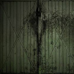 Click Props Background Vinyl with Print Green Gate 1,52x1,52m studijska foto pozadina s grafikom