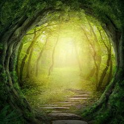 Click Props Background Vinyl with Print Enchanted Pathway 1,52x1,52m studijska foto pozadina s grafikom
