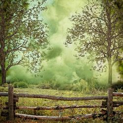 Click Props Background Vinyl with Print Forest Fence 1,52x1,52m studijska foto pozadina s grafikom