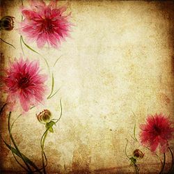 Click Props Background Vinyl with Print Parchment Flowers 1,52x1,52m studijska foto pozadina s grafikom