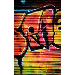 Click Props Background Vinyl with Print Shutter Graffiti 1 1.52x2.44m studijska foto pozadina s grafikom