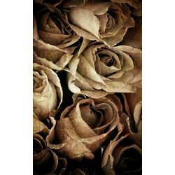 Click Props Background Vinyl with Print Rose Weathered Grey 1.52x2.44m studijska foto pozadina s grafikom