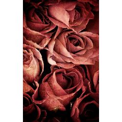Click Props Background Vinyl with Print Rose Weathered Pink 1.52x2.44m studijska foto pozadina s grafikom