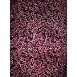 Click Props Background Vinyl with Print Roses Distressed Purple 1.52x2.44m studijska foto pozadina s grafikom