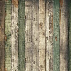 Click Props Background Vinyl with Print Wood Shack 1.52x2.44m studijska foto pozadina s grafikom