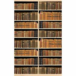 Click Props Background Vinyl with Print Bookshelf Lime Oak 1.52x2.44m studijska foto pozadina s grafikom