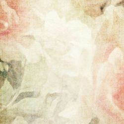 Click Props Background Vinyl with Print Romantic 1.52x2.44m studijska foto pozadina s grafikom