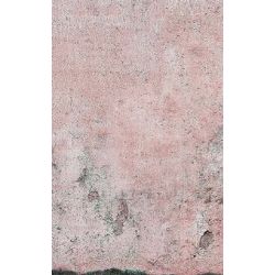 Click Props Background Vinyl with Print Plaster Wall Pink 1.52x2.44m studijska foto pozadina s grafikom