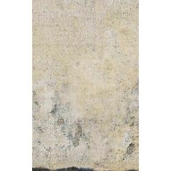 Click Props Background Vinyl with Print Plaster Wall Sand 1.52x2.44m studijska foto pozadina s grafikom