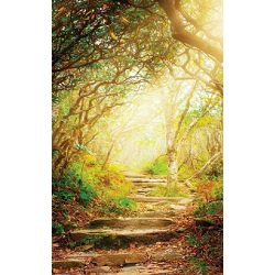 Click Props Background Vinyl with Print Forest Steps 1.52x2.44m studijska foto pozadina s grafikom