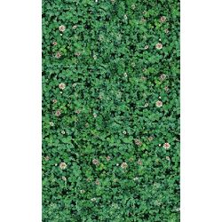 Click Props Background Vinyl with Print Flower Floor 1.52x2.44m studijska foto pozadina s grafikom