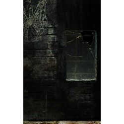 Click Props Background Vinyl with Print Halloween Window 1.52x2.44m studijska foto pozadina s grafikom