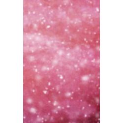 Click Props Background Vinyl with Print Pink Snowfall 1.52x2.44m studijska foto pozadina s grafikom