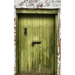 Click Props Background Vinyl with Print Green Padlocked Door 1.52x2.44m studijska foto pozadina s grafikom