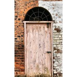 Click Props Background Vinyl with Print Two Tone Door 1.52x2.44m studijska foto pozadina s grafikom