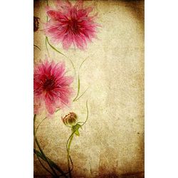 Click Props Background Vinyl with Print Parchment Flowers 1.52x2.44m studijska foto pozadina s grafikom