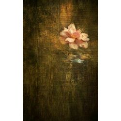 Click Props Background Vinyl with Print Tapestry Flower 1.52x2.44m studijska foto pozadina s grafikom