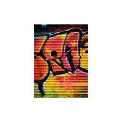 Click Props Background Vinyl with Print Shutter Graffiti 1 2.13x2.9m studijska foto pozadina s grafikom