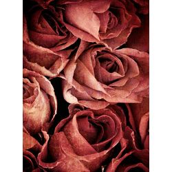 Click Props Background Vinyl with Print Rose Weathered Pink 2.13x2.9m studijska foto pozadina s grafikom