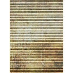 Click Props Background Vinyl with Print Rusty Shutter 2.13x2.9m studijska foto pozadina s grafikom