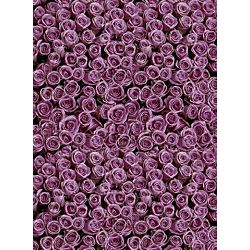 Click Props Background Vinyl with Print Roses Purple 2.13x2.9m studijska foto pozadina s grafikom
