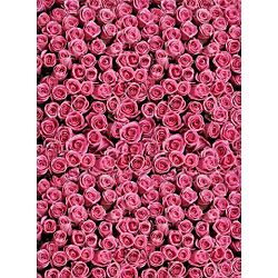 Click Props Background Vinyl with Print Rose Pink 2.13x2.9m studijska foto pozadina s grafikom