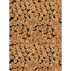 Click Props Background Vinyl with Print Rose Orange 2.13x2.9m studijska foto pozadina s grafikom