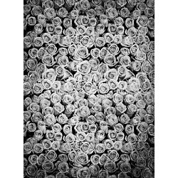 Click Props Background Vinyl with Print Roses Distressed White 2.13x2.9m studijska foto pozadina s grafikom