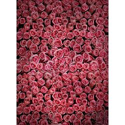 Click Props Background Vinyl with Print Roses Distressed Pink 2.13x2.9m studijska foto pozadina s grafikom