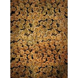 Click Props Background Vinyl with Print Roses Distresed Orange 2.13x2.9m studijska foto pozadina s grafikom