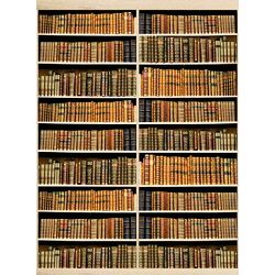 Click Props Background Vinyl with Print Bookshelf Lime Oak 2.13x2.9m studijska foto pozadina s grafikom